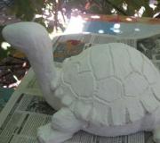 Klasa mistrzowska „Żółw morski z papieru”