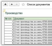 Materialno poročilo 1s 8.3.  Računovodske informacije.  Po računovodskem registru